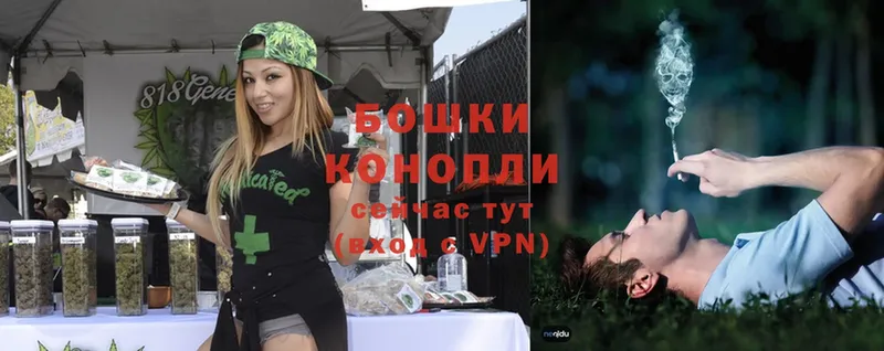 купить   Яровое  Бошки Шишки Ganja 